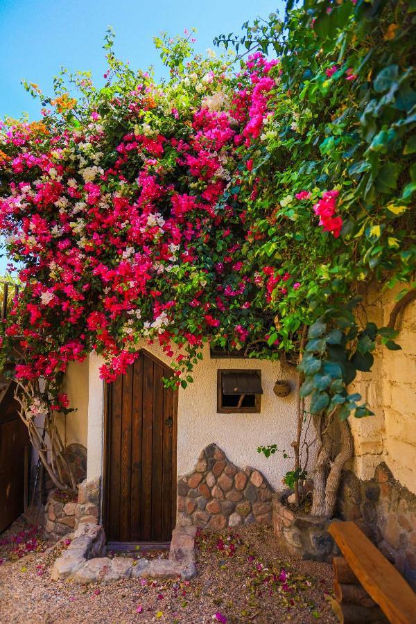 Beit Theresa Дахаб Экстерьер фото